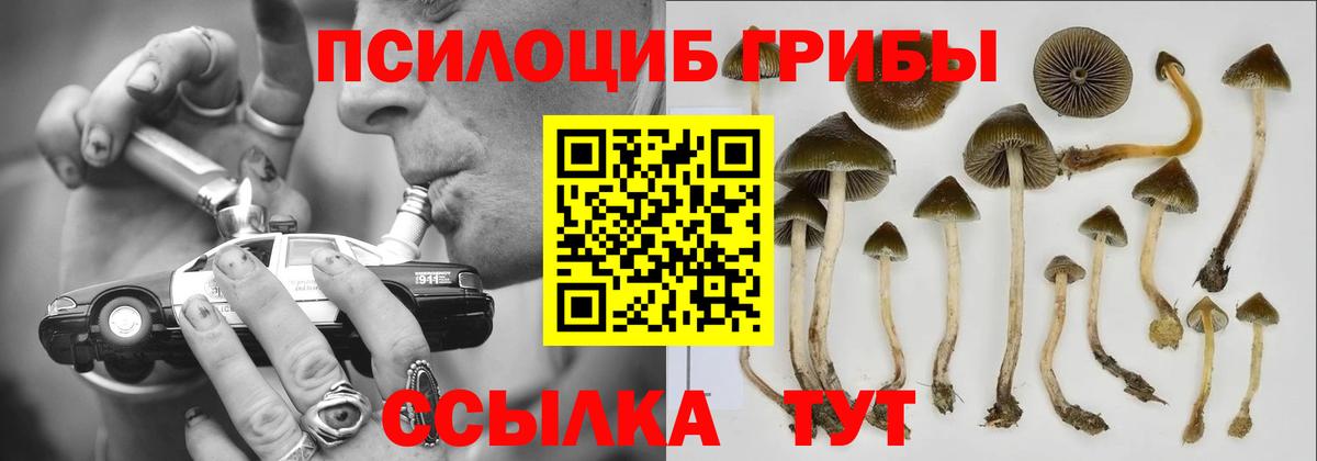 Галлюциногенные грибы ЛСД  хочу наркоту  Чебаркуль  Вход с VPN 