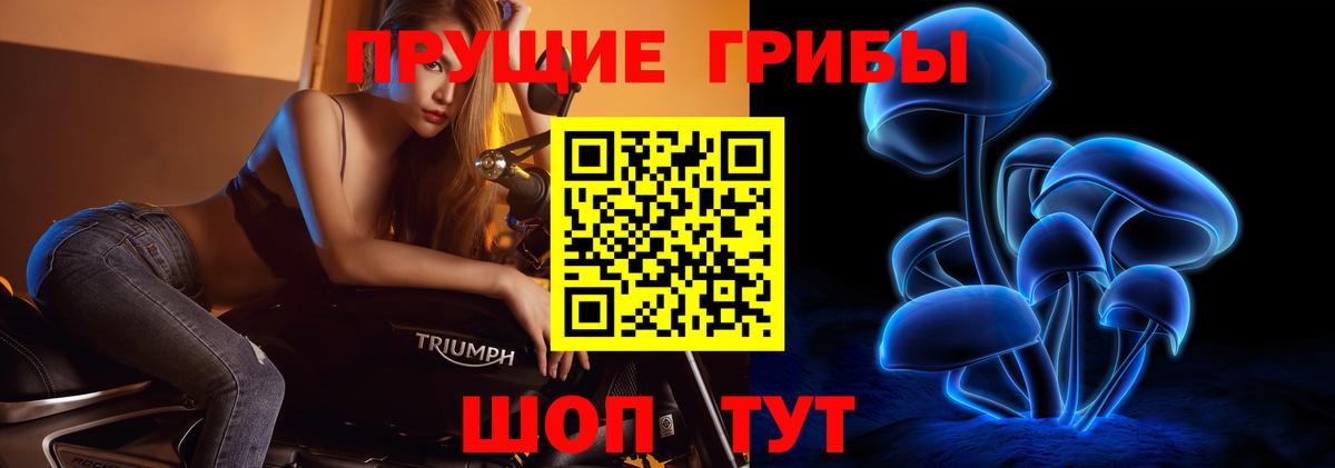Псилоцибиновые грибы Cubensis Чебаркуль